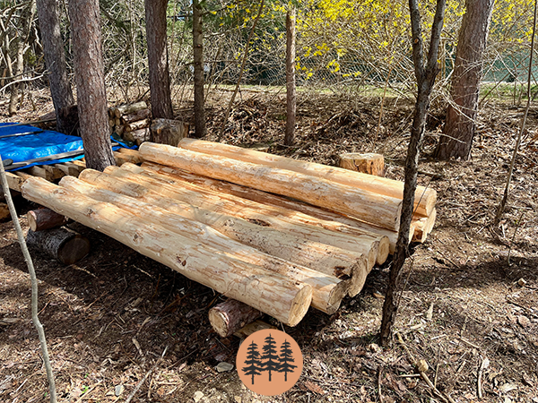 split-rail-fence-construction-drying-posts