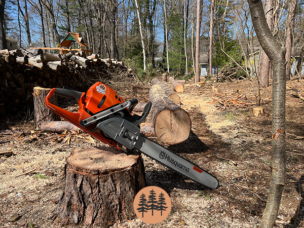 split-rail-fence-construction-splitting-rails-with-a-chainsaw